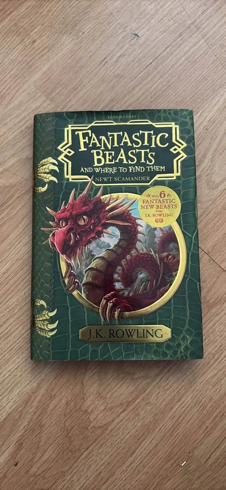 Harry Potter Cookbook and Fantastic Beasts Book - photo 4