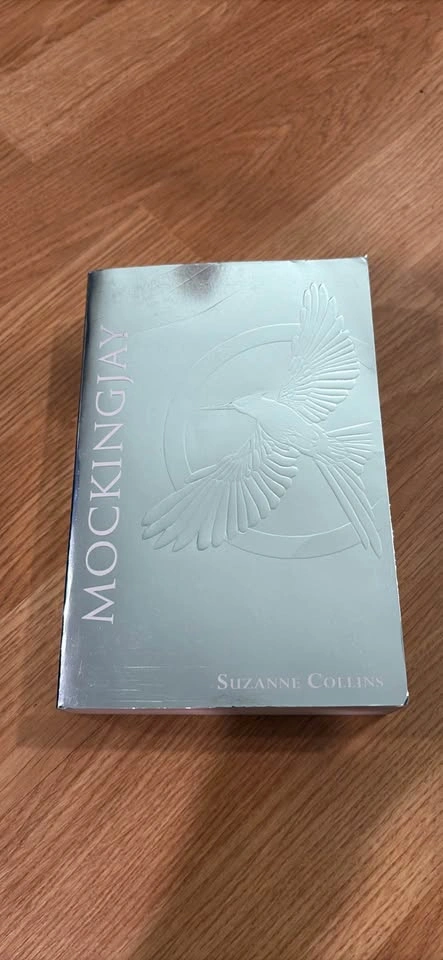 3 hunger games books - photo 3