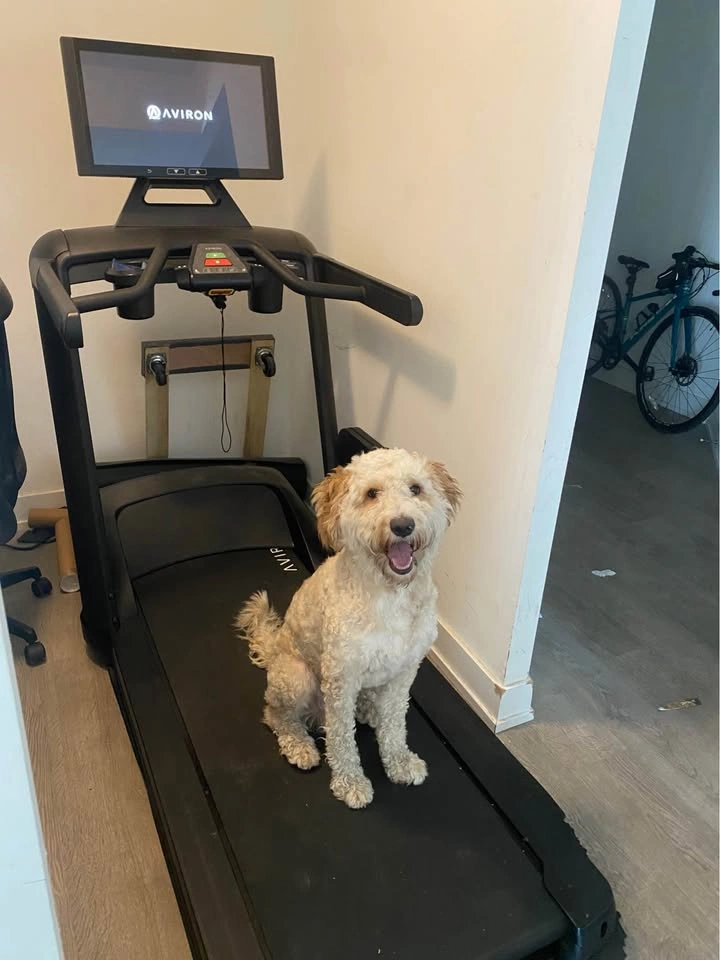 Aviron Victory Smart Treadmill – 22” HD Touchscreen - photo 3