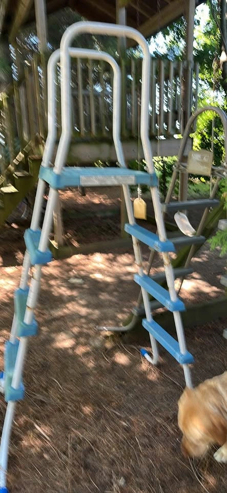 Above Ground Pool Ladder - photo 2