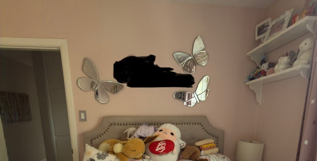 Pottery Barn Butterfly Mirrors