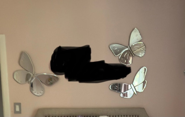 Pottery Barn Butterfly Mirrors - photo 2