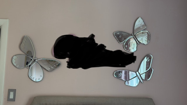 Pottery Barn Butterfly Mirrors - photo 3