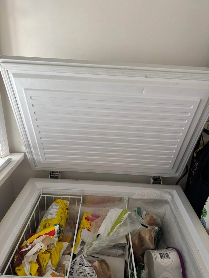 Deep freezer 5.0 cu ft - photo 3