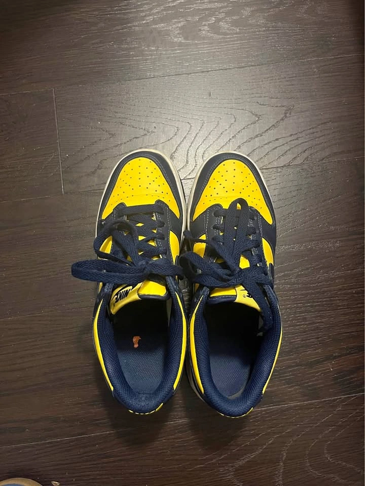 Nike Dunk Low Michigan (2021)