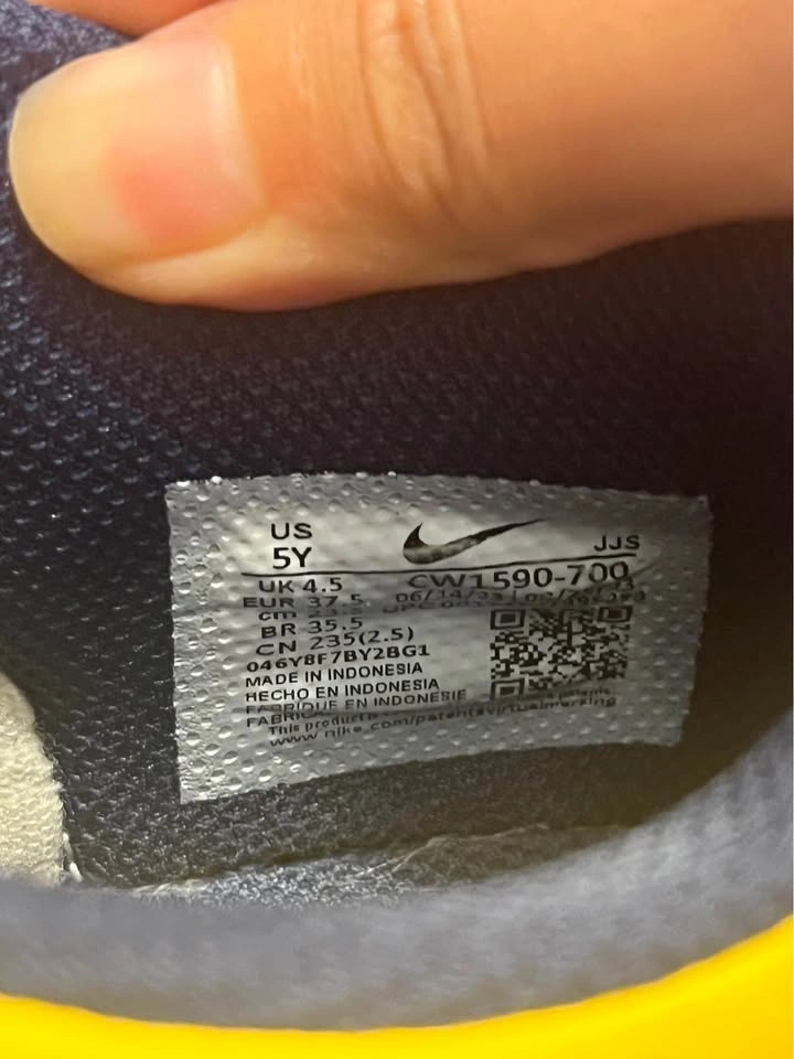 Nike Dunk Low Michigan (2021) - photo 5