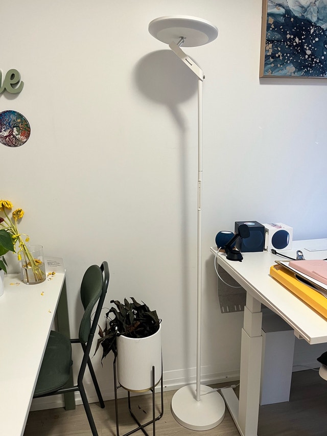 Sale until Aug 20 only! Floor Lamp
