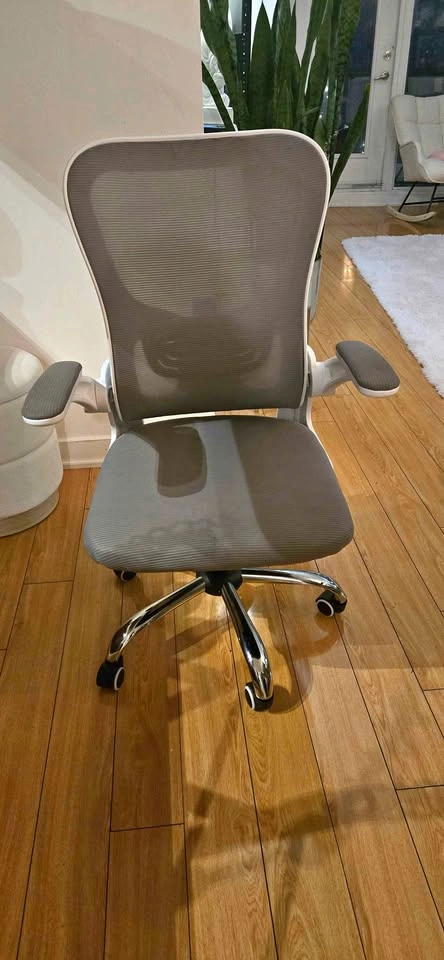 Ergonomic Office Chair – $80