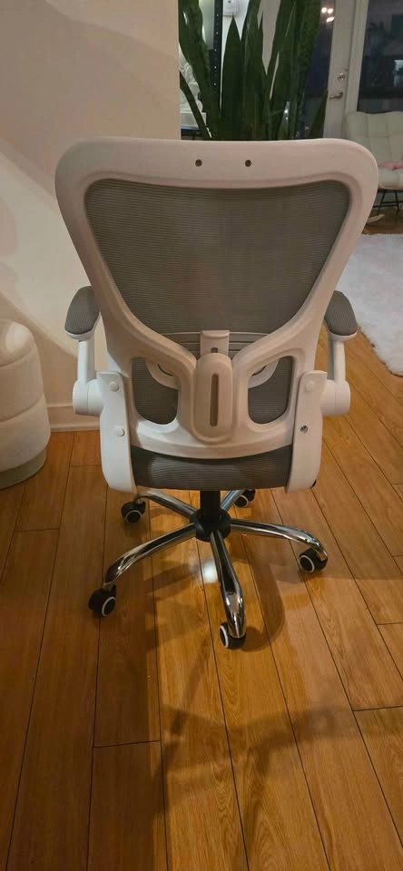 Ergonomic Office Chair – $80 - photo 2