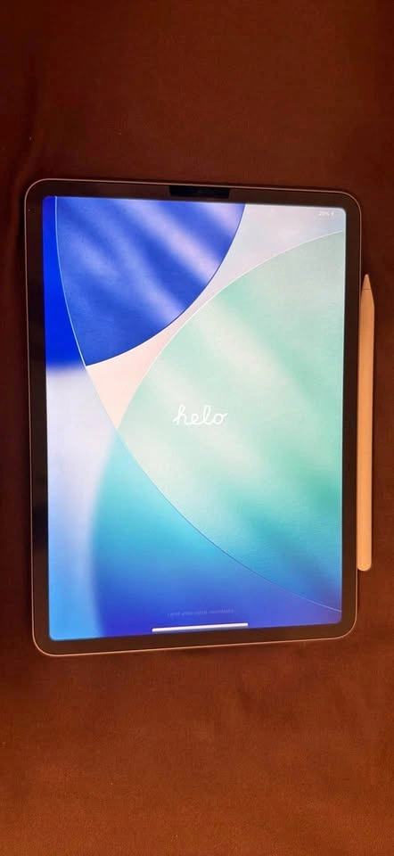 iPad Pro 11 inch (4th Generation)
