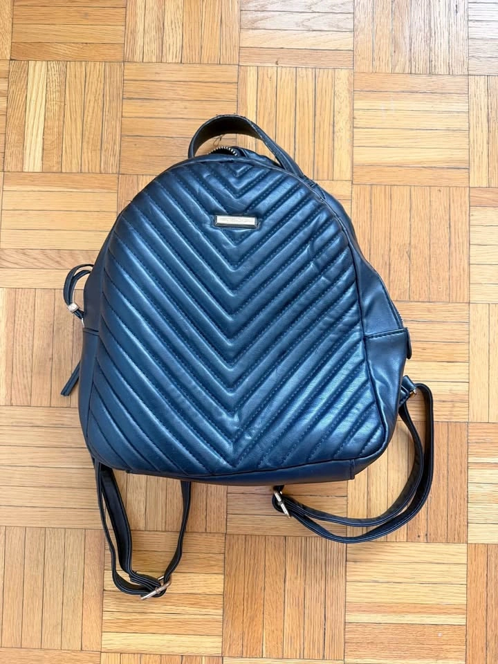 ALDO Quilted Mini Backpack need zipper replacement