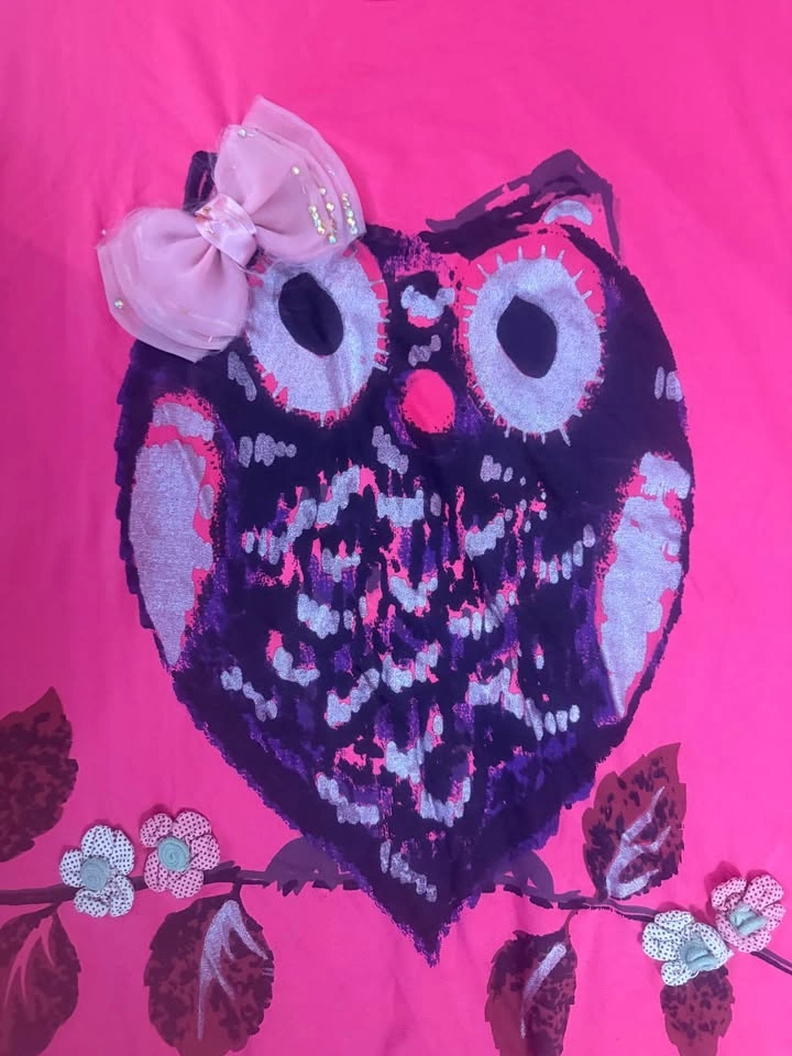 Pink Owl Graphic T-Shirt - Size L/XL - photo 2