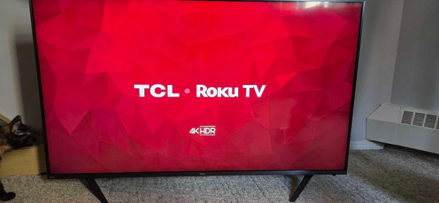 TCL 55" Roku Smart TV