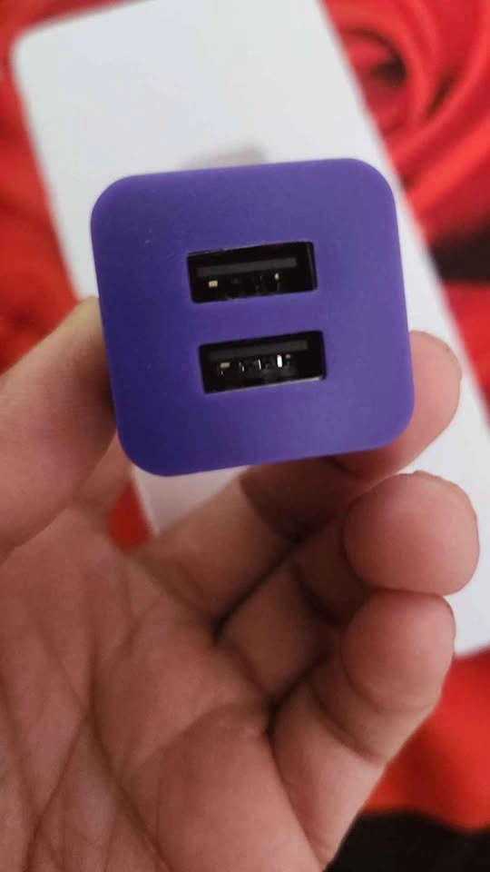 Usb wall charger dual ports - photo 3