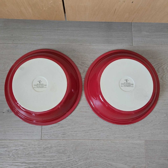 PC 10" Stoneware Pie Plates-like new - photo 3