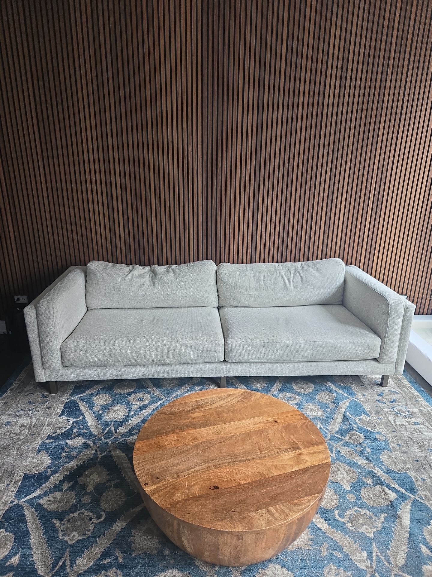 Light Gray Modern Two-Cushion Sofa
