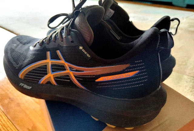Asics GT-1000 14 Goretex (Men Size 9.5)