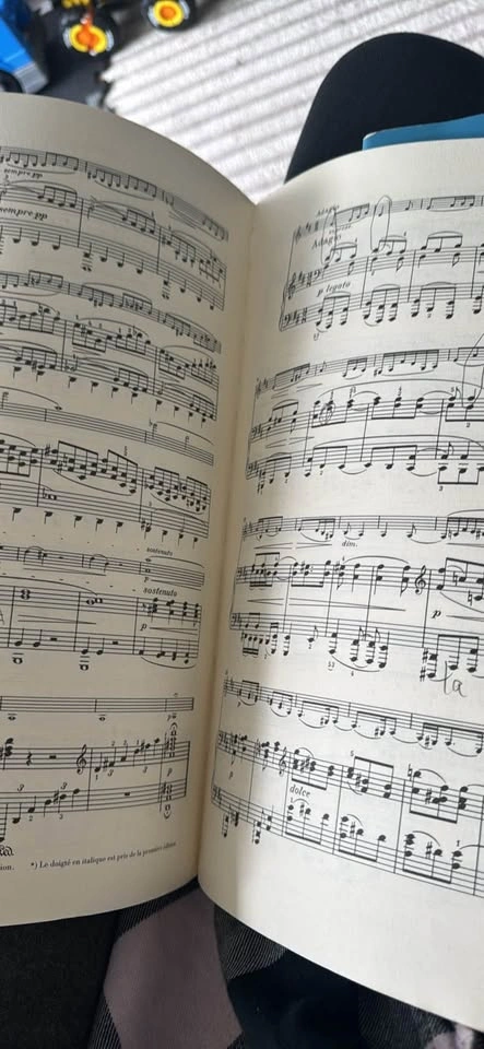 Brahms Sonatas for Piano and Violin - G. Henle Verlag Urtext - photo 3