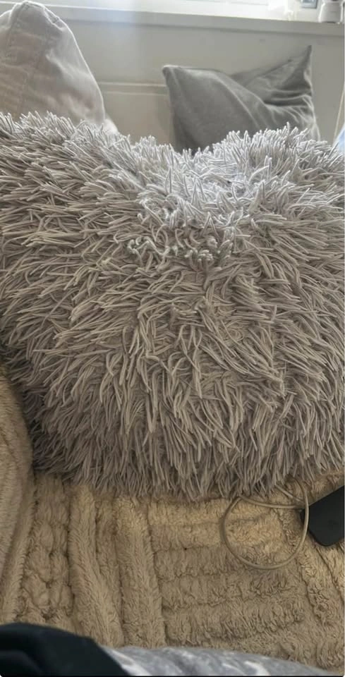 Couch pillows - photo 2