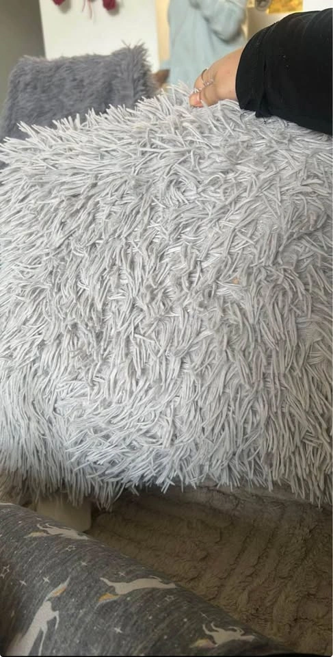 Couch pillows - photo 3