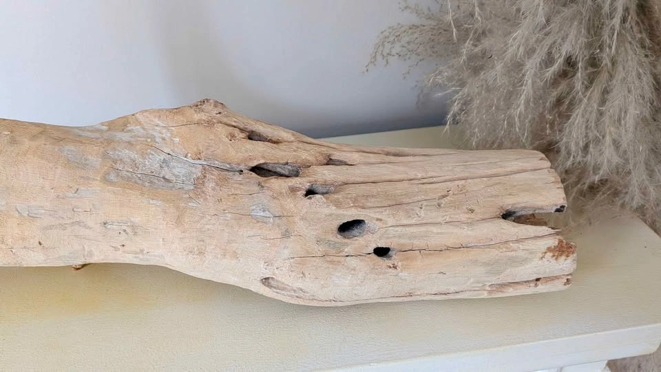 Brand New: Large Natural Driftwood Decor - photo 3