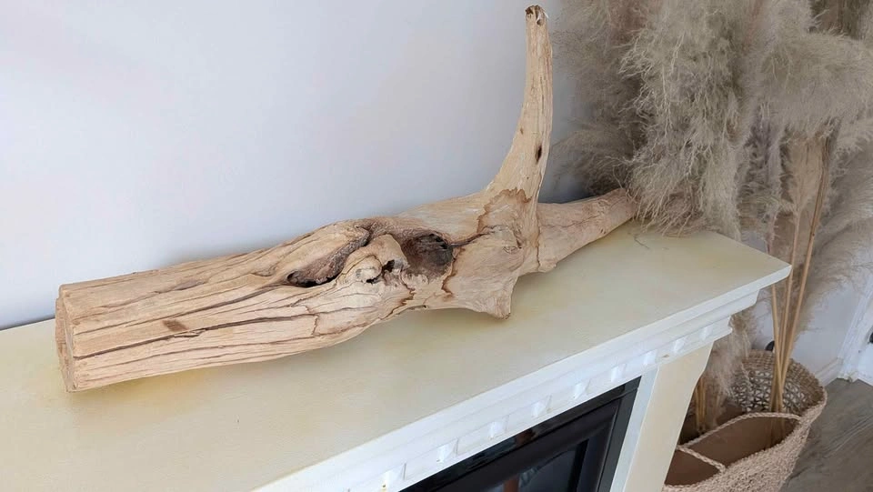Brand New: Large Natural Driftwood Decor - photo 4