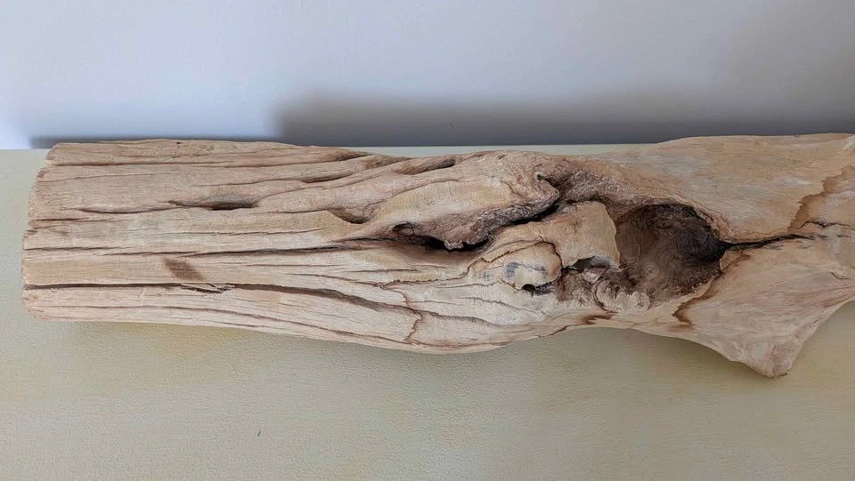 Brand New: Large Natural Driftwood Decor - photo 5