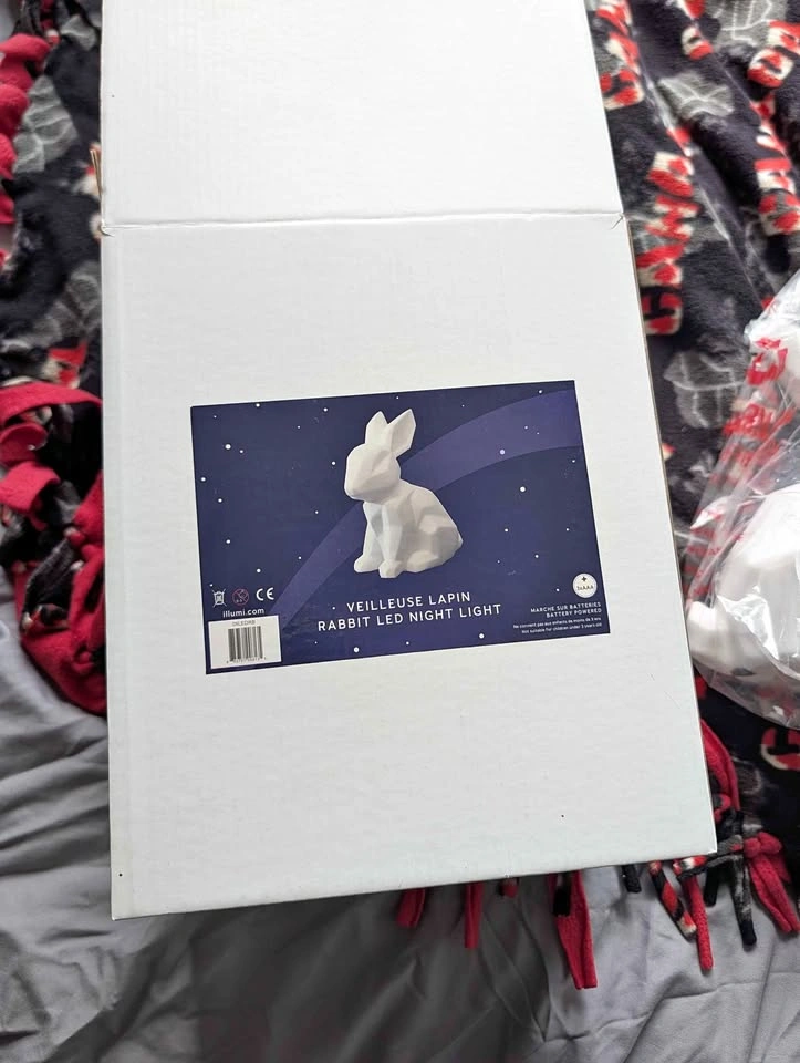 Light up Easter Bunny