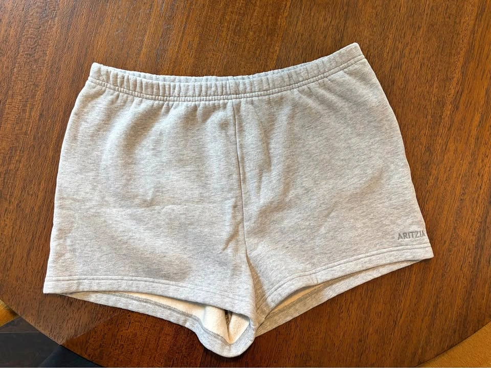 Aritzia shorts (grey and navy)