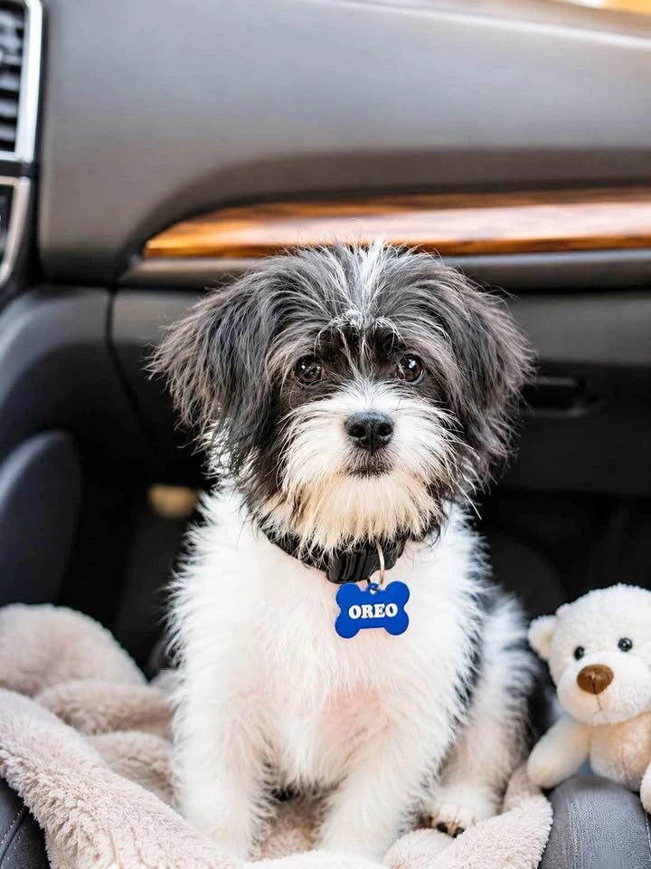 🐾 Personalized Engraved Bone Pet Tags 🐶🐱