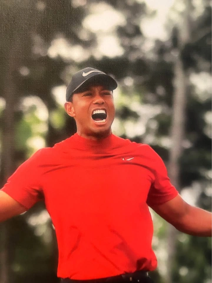 Tiger Woods Masters Celebration Framed Picture with replica Sign - photo 3
