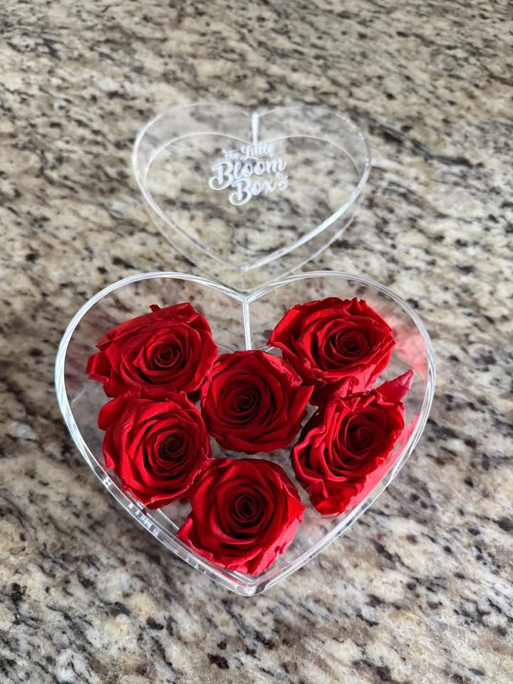 The Little Bloom Box Heart Preserved Forever Roses - photo 3