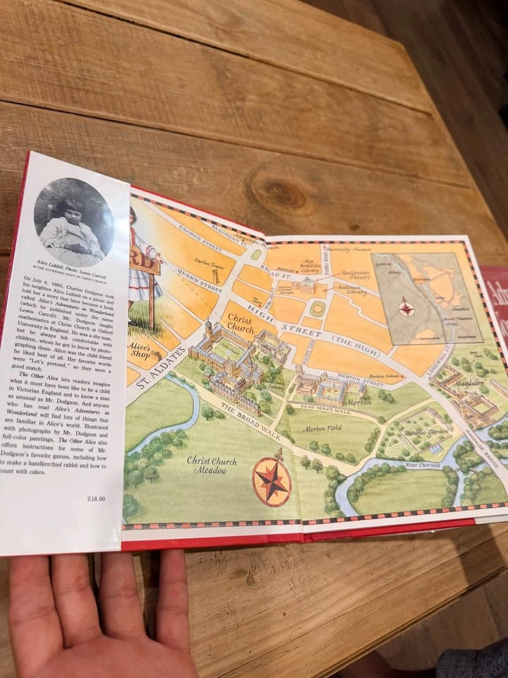 Alice in Wonderland Book Collection - Annotated and Illustrated - photo 5