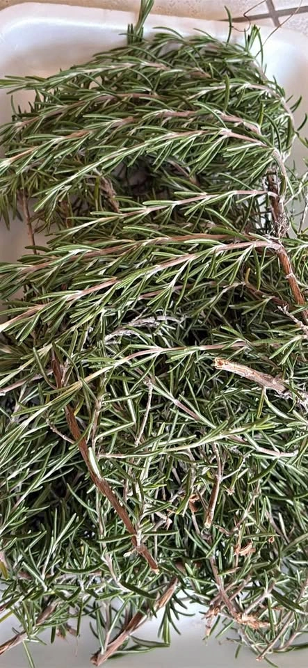 Fresh Rosemary Sprigs