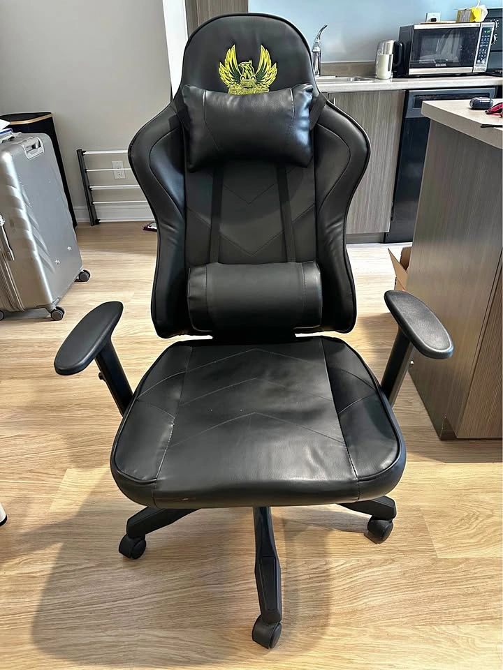 SK Gaming Ergonomic Gaming Chair