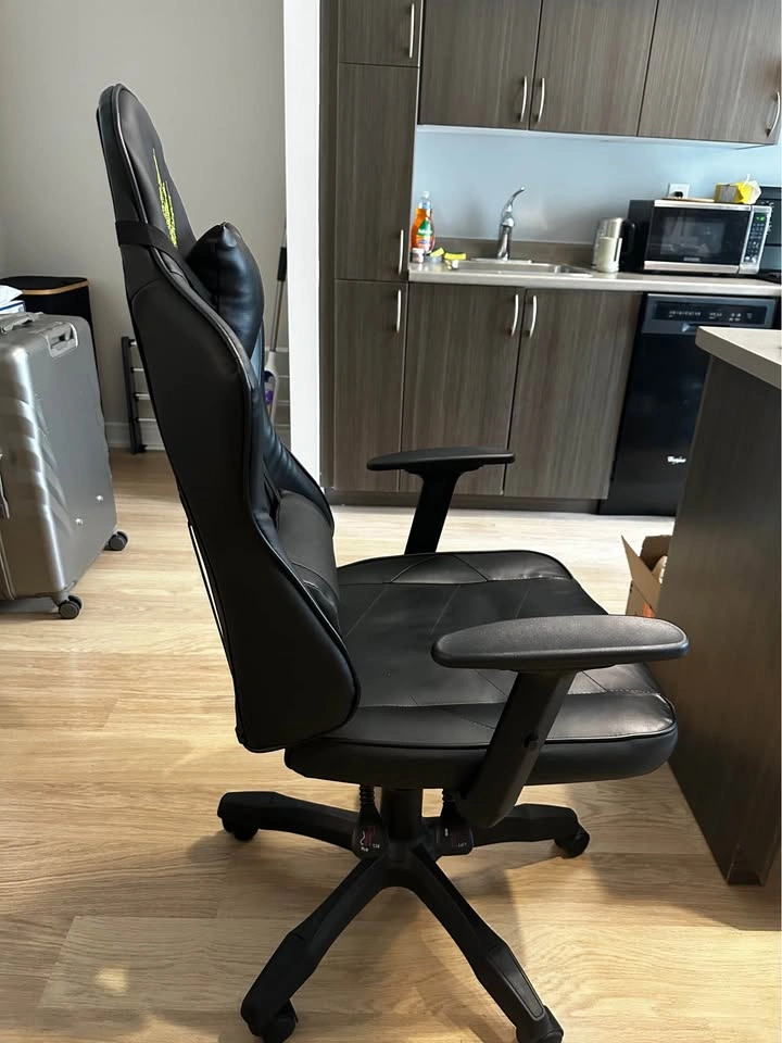 SK Gaming Ergonomic Gaming Chair - photo 2