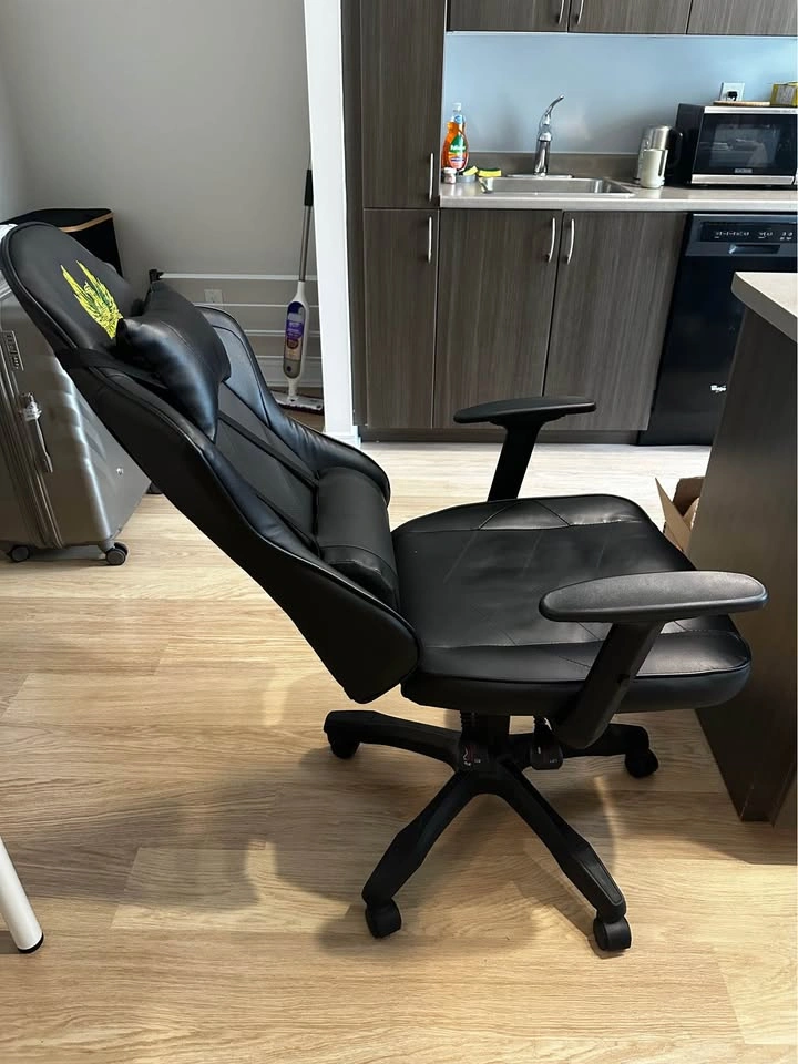 SK Gaming Ergonomic Gaming Chair - photo 4