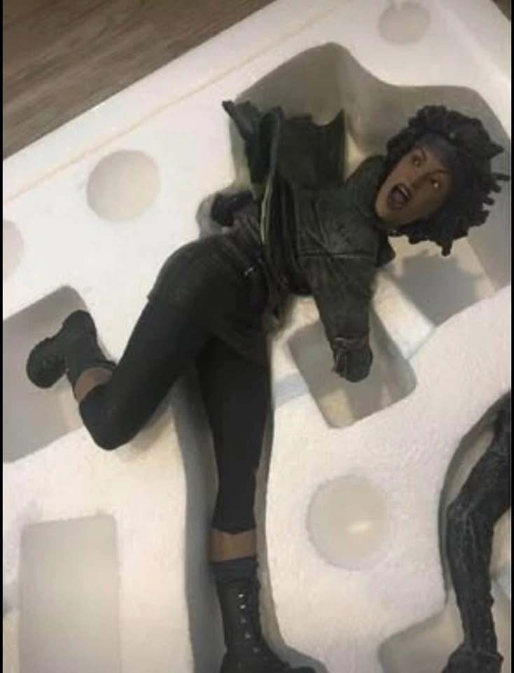 Michonne Mcfarlane resin statue in box The Walking Dead - photo 5