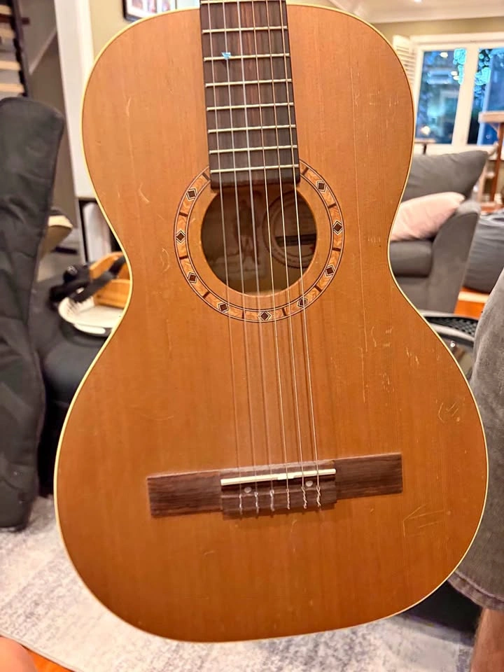 Art & Luthrie Acoustic Guitar