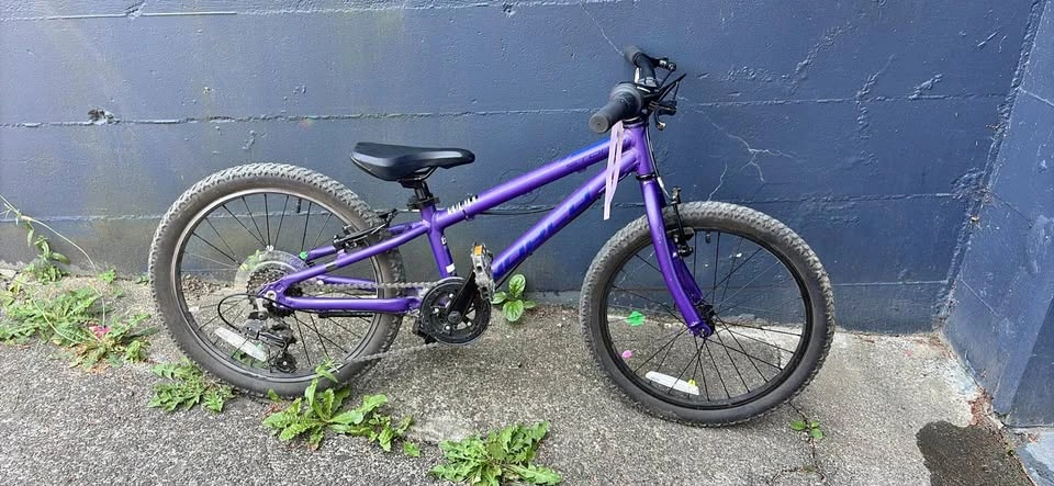 Norco Storm 20" Kids Mountain Bike