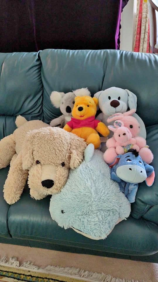 Assorted Plush Toy Bundle - Disney, Build-A-Bear, PillowPets