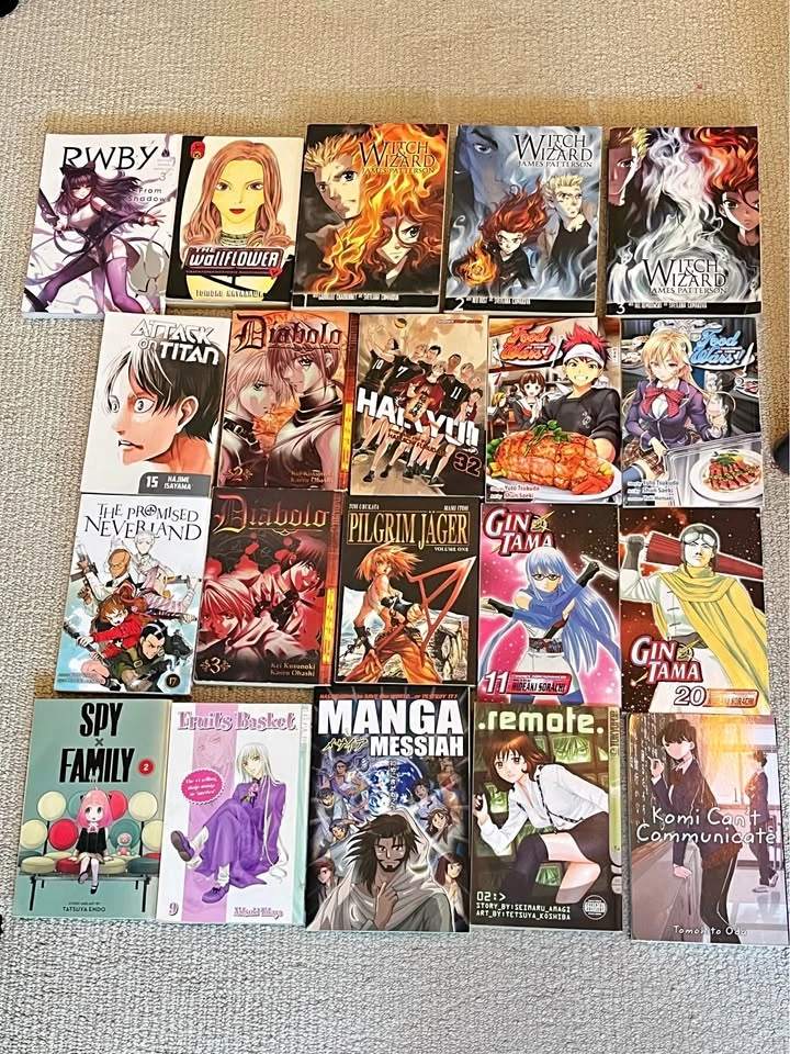 Manga lot