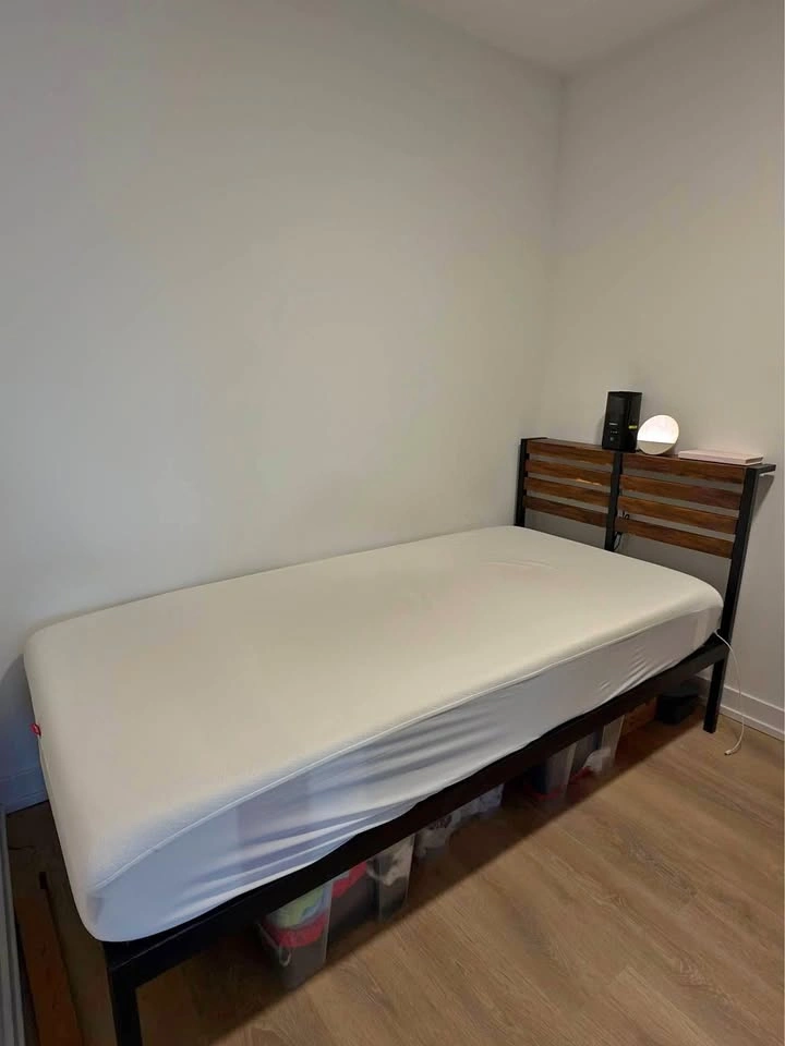 Twin XL Platform Bedframe and Mattress