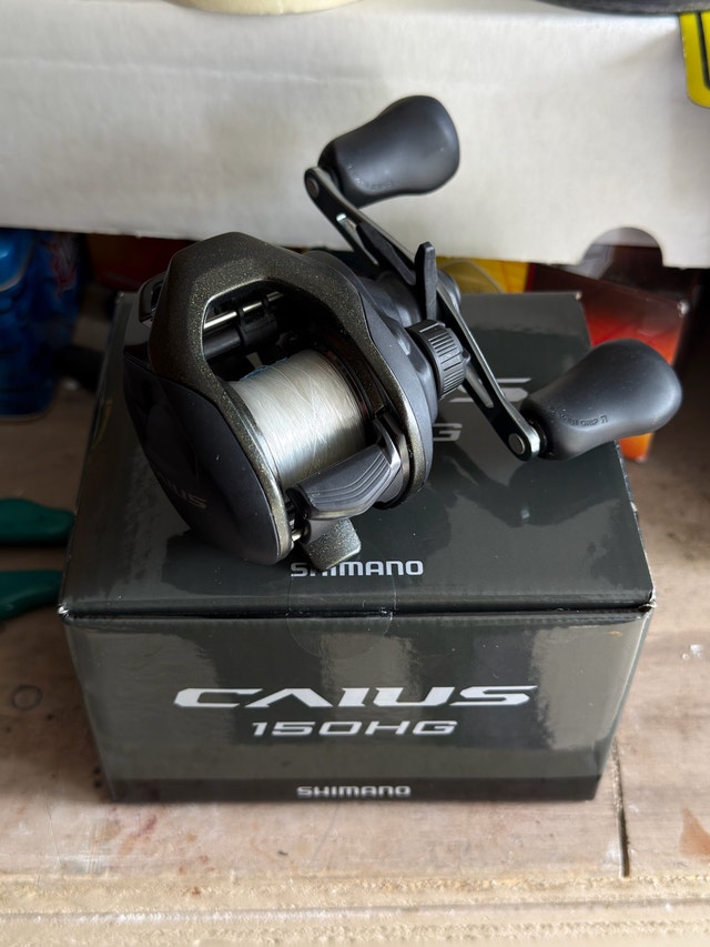 Shimano Caius + Daiwa Aird X Baitcaster Setup
