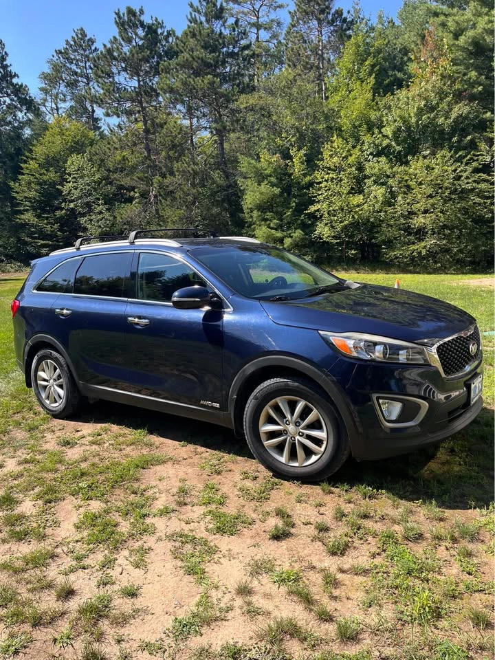 2017 Kia Sorento - photo 2