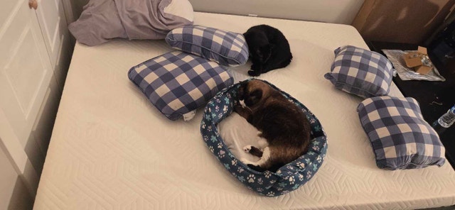 Full size mattress and LED frame