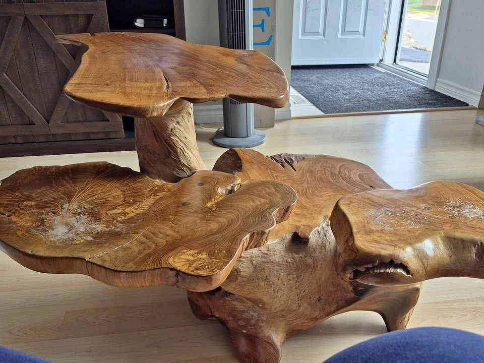 Live Edge Multi-Tier Root Coffee Table