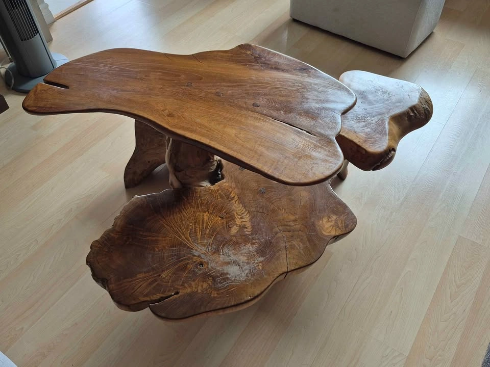 Live Edge Multi-Tier Root Coffee Table - photo 2