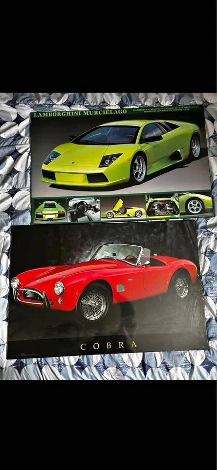 Lamborghini Murcielago & Cobra Car Pictures