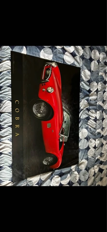 Lamborghini Murcielago & Cobra Car Pictures - photo 2